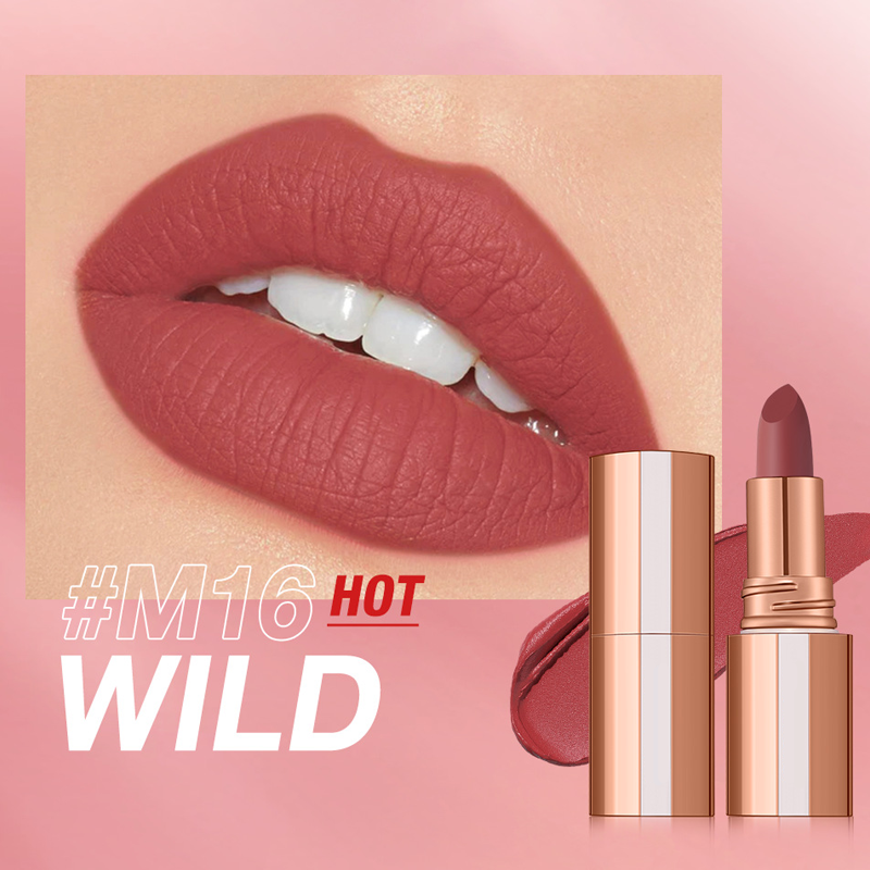 💞Matte Finish Waterproof Long Wear Silky Lipstick