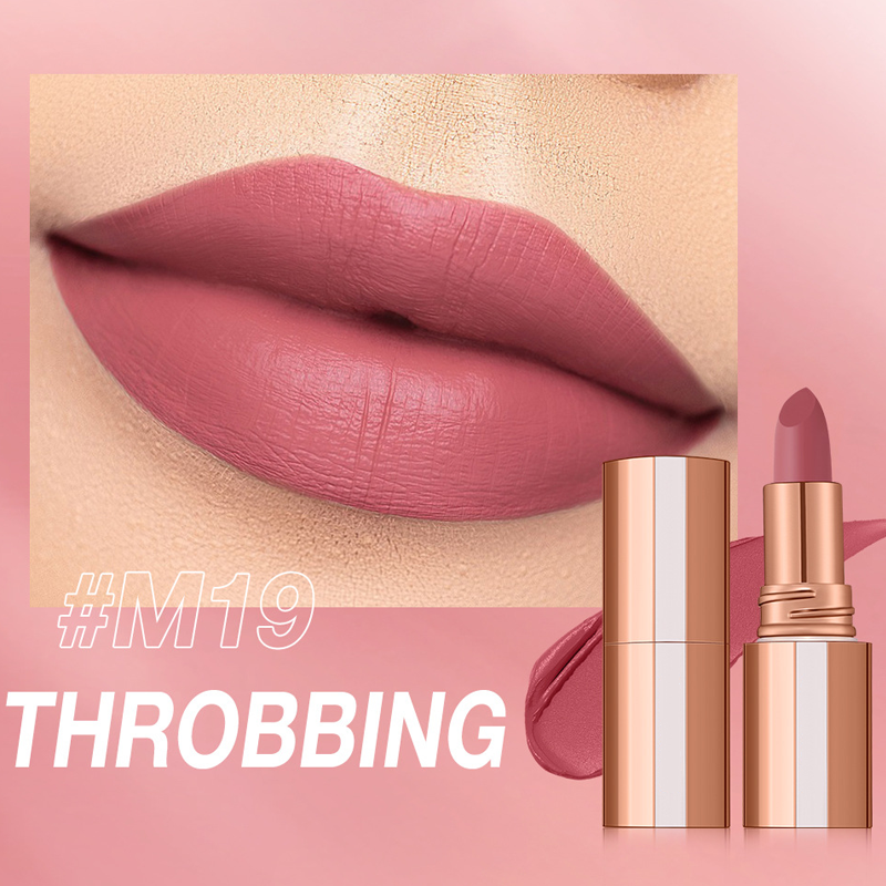 💞Matte Finish Waterproof Long Wear Silky Lipstick