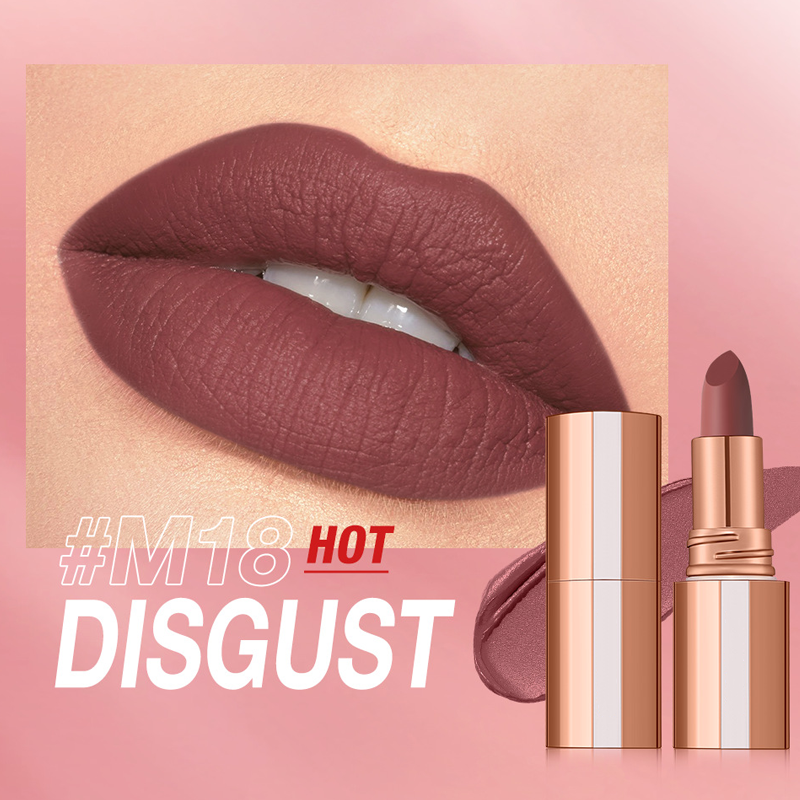 💞Matte Finish Waterproof Long Wear Silky Lipstick